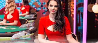 pkpk222 Live Casino ကစားနည်း MMK ငွေသွင်း KBZPay Wave Money AYA Pay